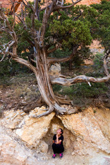 Woman hiding under tree root