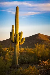 Afwasbaar fotobehang Arizona Desert Landscapes © jon manjeot