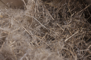Bundle of raw flax fiber