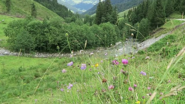 Zillertal valley landscape with meadow, barn and stream. Located at Schoenachtal valley in Tirol (Austria).
