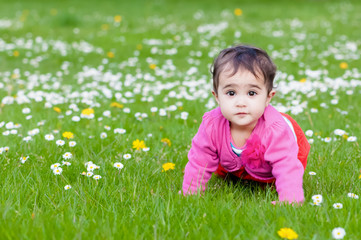 Cute chubby toddler crawling on the grass exploring nature outdoors in the park eye contact