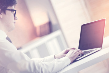 Obraz na płótnie Canvas Businessman with laptop