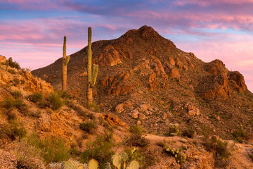 Arizona Desert Landscapes