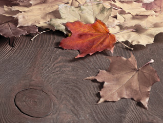 Naklejka na ściany i meble The beautiful Autumn art background