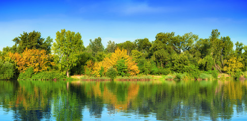 Colorful trees at river Danube, Hungary.