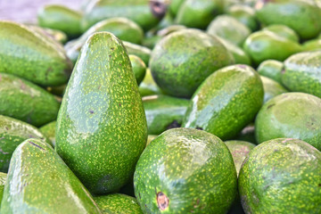Avocados on street market stall