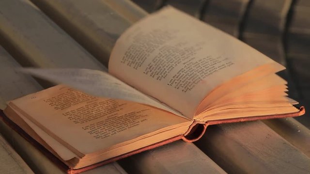 Wind turns pages of vintage book left on a wooden bench at sunset