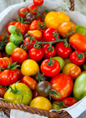 Fototapeta na wymiar colorful tomatoes in basket
