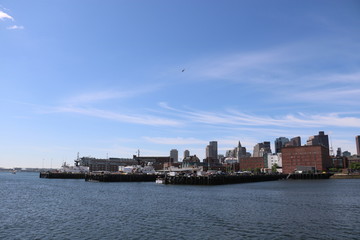 Naklejka premium i am in Ameica