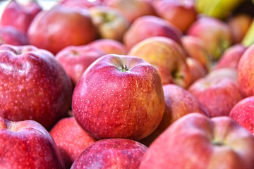 Fresh organic apples on street market stall