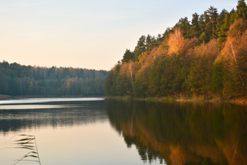 lake and autumn forest