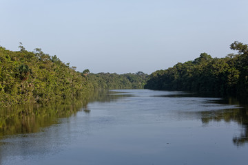 Amont du fleuve Kourou vu de la piste singes rouges à Kourou, Guyane française