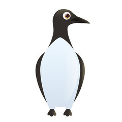 Guillemot isolated on white background. Vector illustration