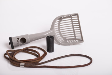 Accessories for walking dog