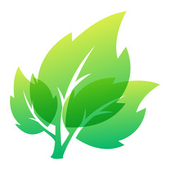 Leaf icon vector illustration.