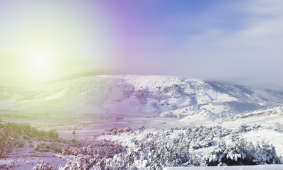 Fototapeta premium Snow 