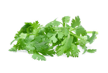 Coriander isolated on white