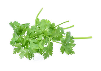 Coriander isolated on white