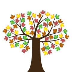 Vector illustration of a maple tree with colorful leafs on a white background