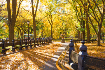 Fototapeta na wymiar Central Park in New York City on colorful autumn day