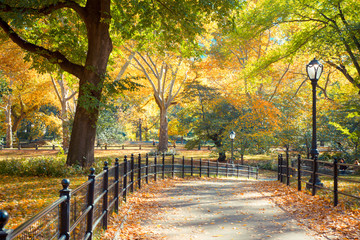 Fototapeta premium Central Park in New York City on colorful autumn day