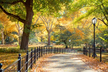 Poster Im Rahmen Central Park in New York City an einem farbenfrohen Herbsttag © littleny