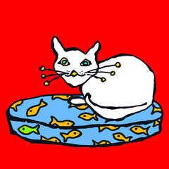 White Cat on Cushion