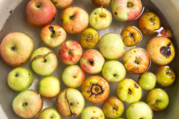 apples in the water as a background