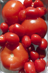Tomatoes