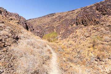 Trail canyon desert rock bazalt walls landscape, Israel.