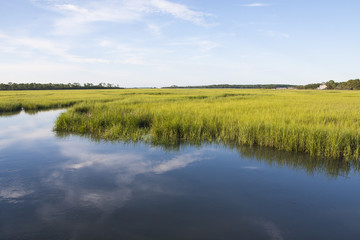 Fototapeta na wymiar South Carolina salt marshlands