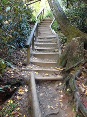 Helton Creek Falls Georgia