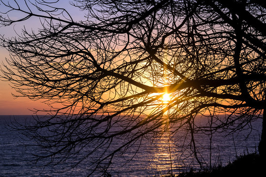 Sunset with silhouettes of branches, to put contrast and texture to the image