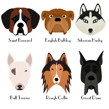 Set of 6 dog's head. Flat design. Pets. Cute doggies. Dog icon. Logo. Cartoon character. Animals. Vector illustration, eps10.