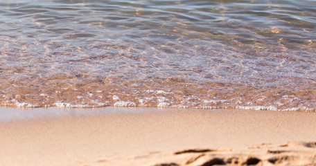 sandy shore of the sea as a backdrop