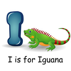 Animals alphabet: I is for Iguana 
