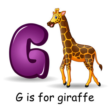 Animals alphabet: G is for Giraffe 