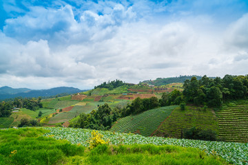 Obraz premium Beautiful mountain with blue sky landscape .