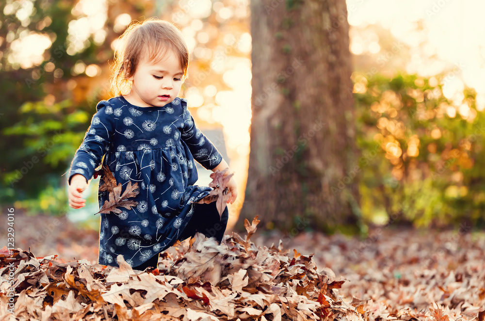 Wall mural Toddler girl playing in a pile of fall leaves at sunset