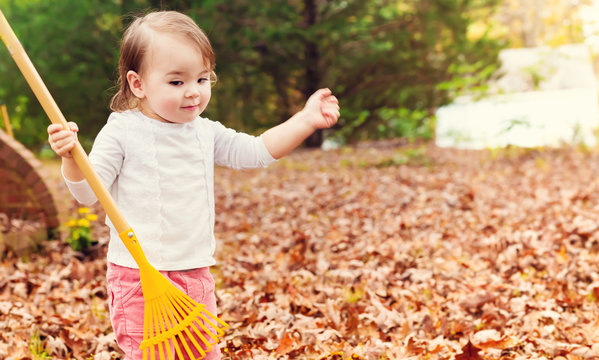 Toddler girl raking leaves