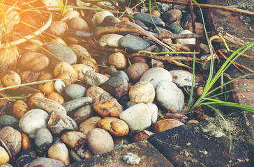 Background with grass and rocks