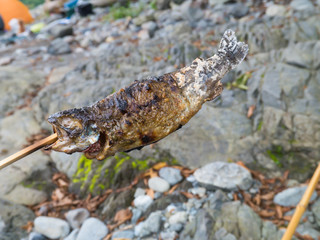 Enjoy fish and meat at BBQ