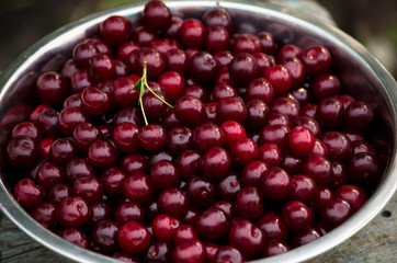 cherries in an iron dish