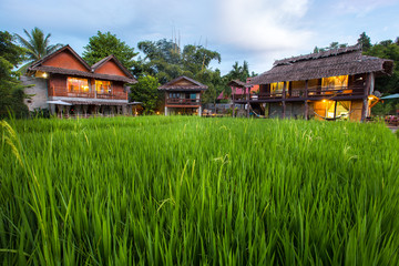 Home Field at Mea La Noi City in Mae Hong Son , Thailand