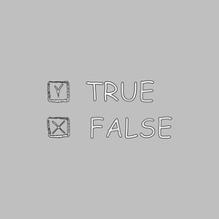 Obraz premium True and False computer symbol
