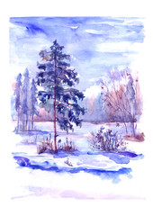 Watercolor winter landscape. The figure shows the nature, forest, pine, snow, bush.