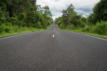 Texture of long symmetrical asphalt road in green forest