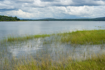 Grass, water and clouds at Sirindhorn dam, Thailand