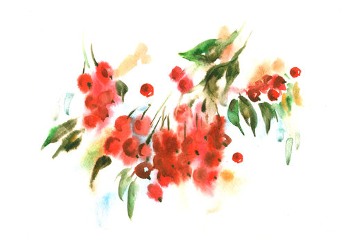 Watercolor red berries on branch, vintage pattern on a white background. Spray paint, beautiful item - rowan, viburnum