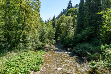 Wutach Gorge with river and waterfalls - Walking in beautiful landscape of the blackforest, Germany